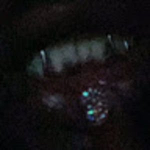 Meet your Posher, Larry